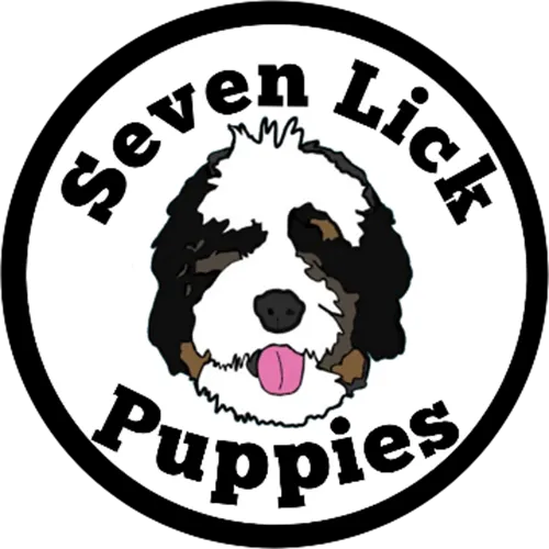 Seven Lick Puppies